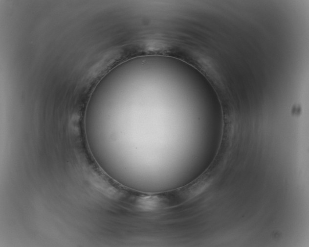 X0000111920269200907271256