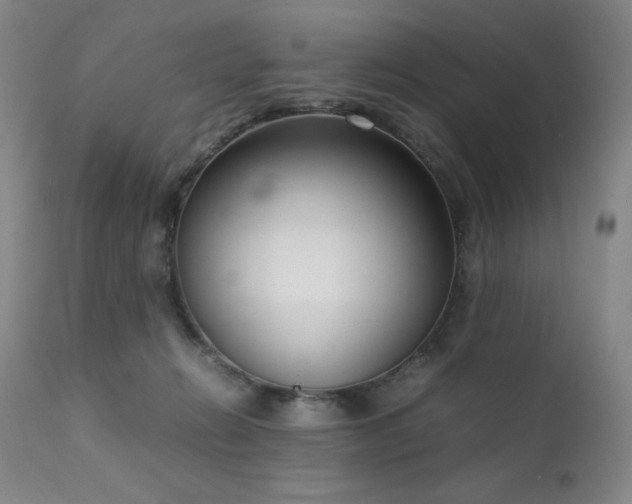 X0000111920270200907271256