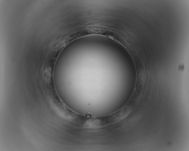 X0000111920271200907271256