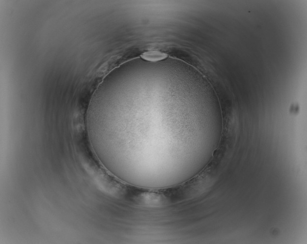 X0000111920272200907271256