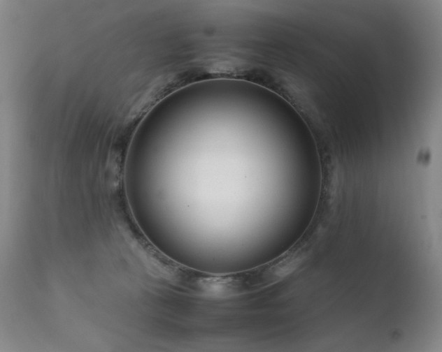 X0000111920273200907271256