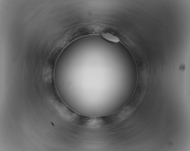 X0000111920274200907271256