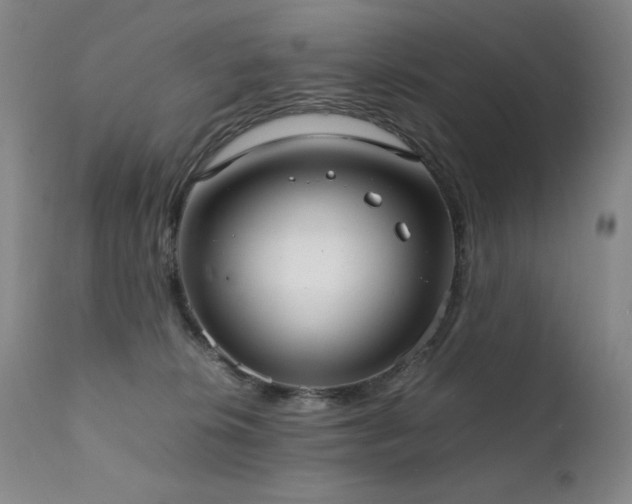 X0000111920276200907271256
