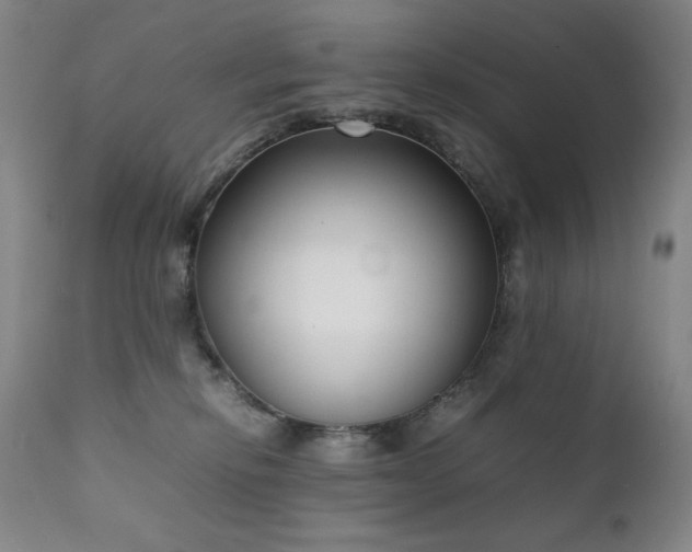 X0000111920278200907271256