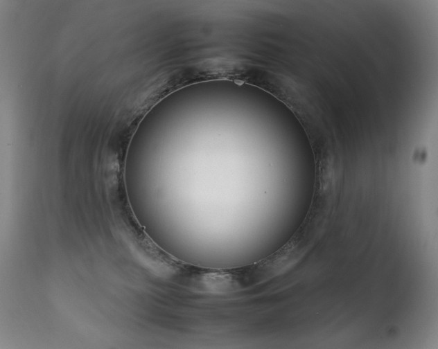 X0000111920279200907271256
