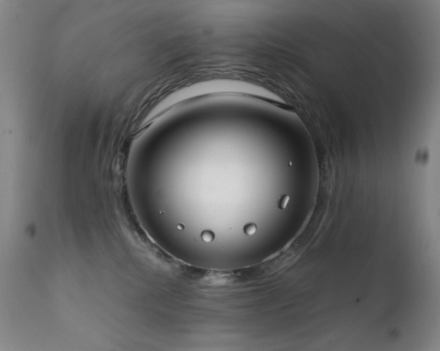 X0000111920280200907271256