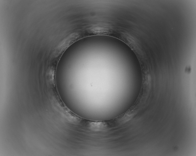 X0000111920281200907271256