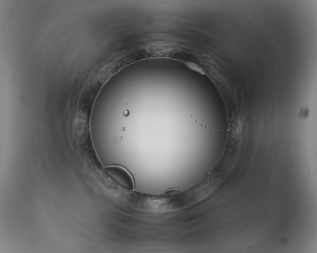 X0000111920283200907271256