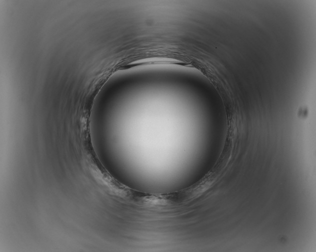 X0000111920284200907271256