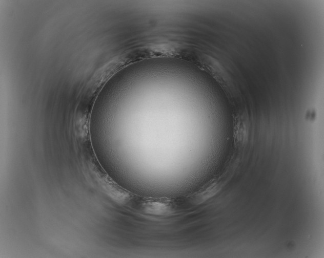 X0000111920285200907271256