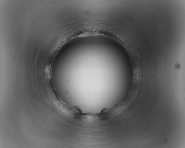 X0000111920286200907271256