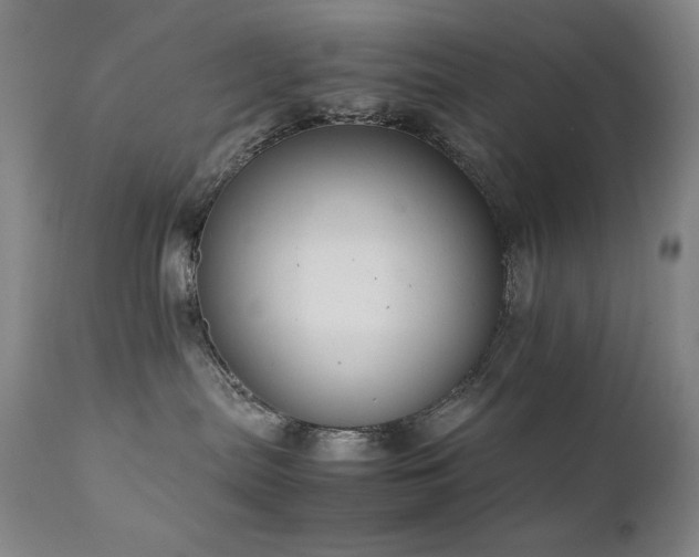 X0000111920287200907271256
