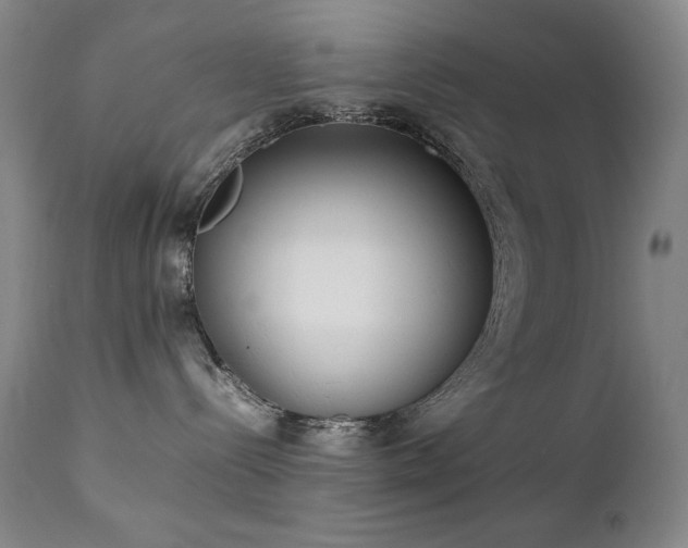 X0000111920288200907271256