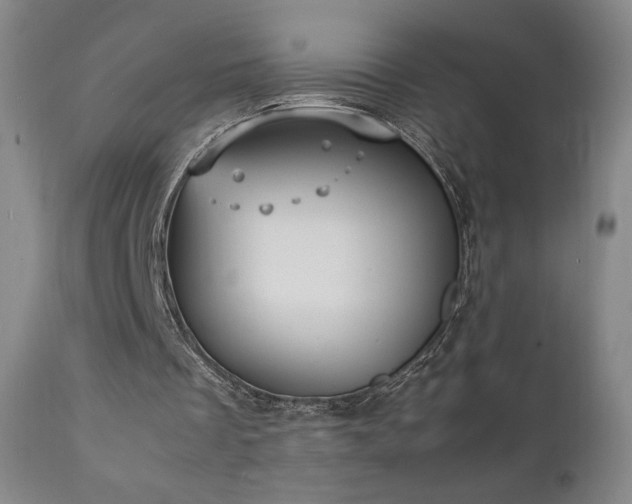 X0000111920289200907271255