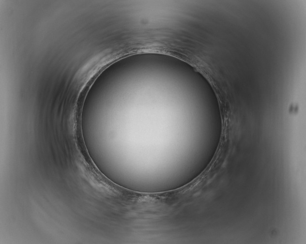 X0000111920290200907271255