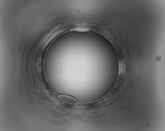 X0000111920291200907271255