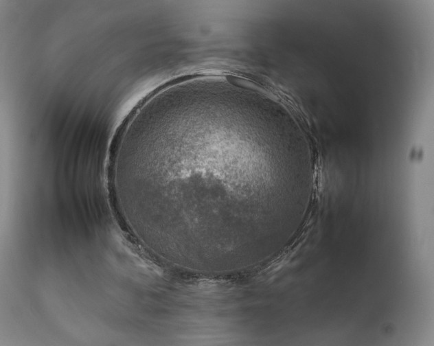 X0000111920292200907271255