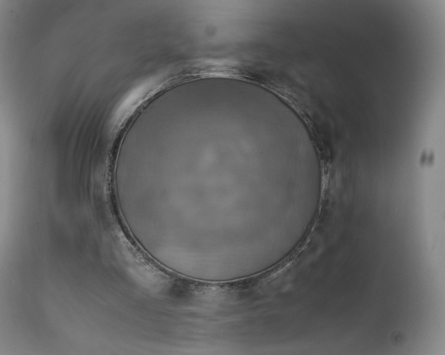 X0000111920293200907271255