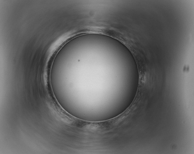 X0000111920294200907271255