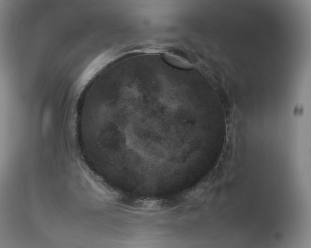 X0000111920295200907271255