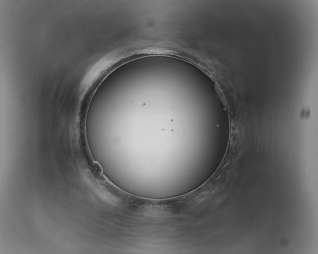 X0000111920296200907271255