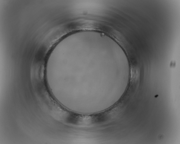 X0000111920301200907271255