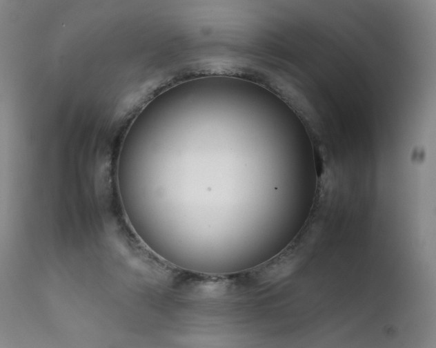 X0000111920306200907271255