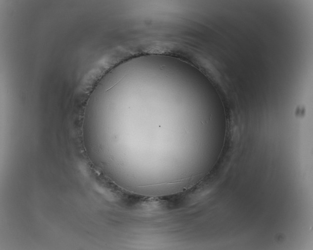 X0000111920307200907271255