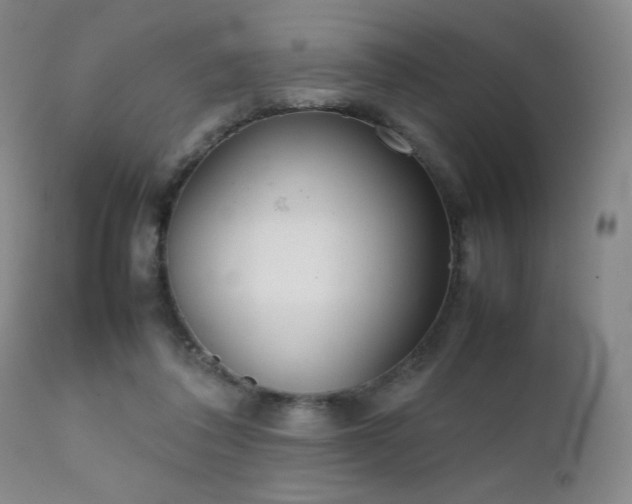 X0000111920308200907271255
