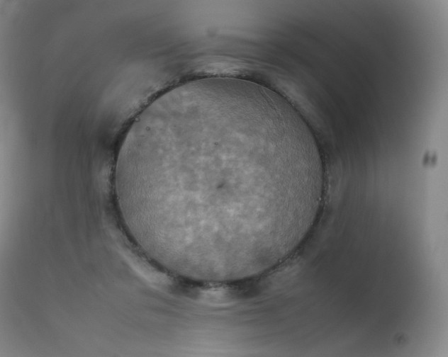 X0000111920309200907271255