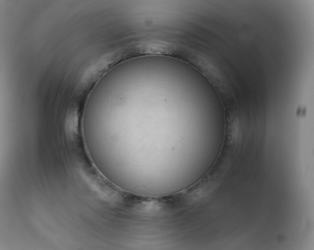 X0000111920310200907271255