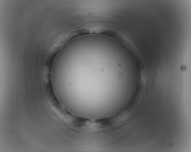 X0000111920311200907271255