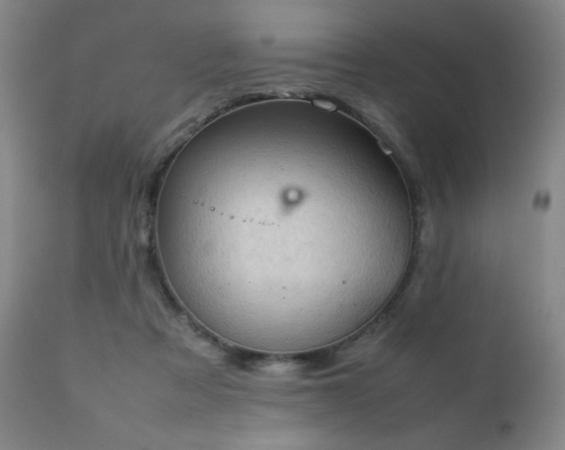 X0000111920313200907271255