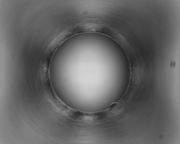 X0000111920314200907271255