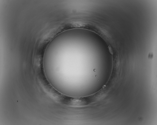 X0000111920315200907271255