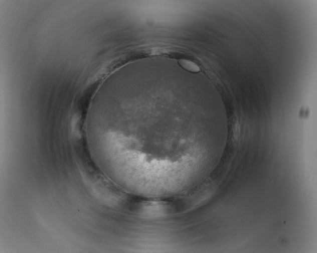 X0000111920316200907271255