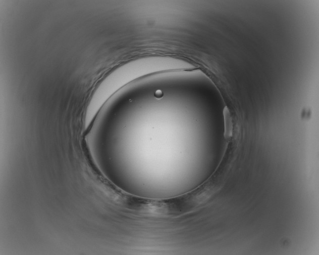 X0000111920317200907271255