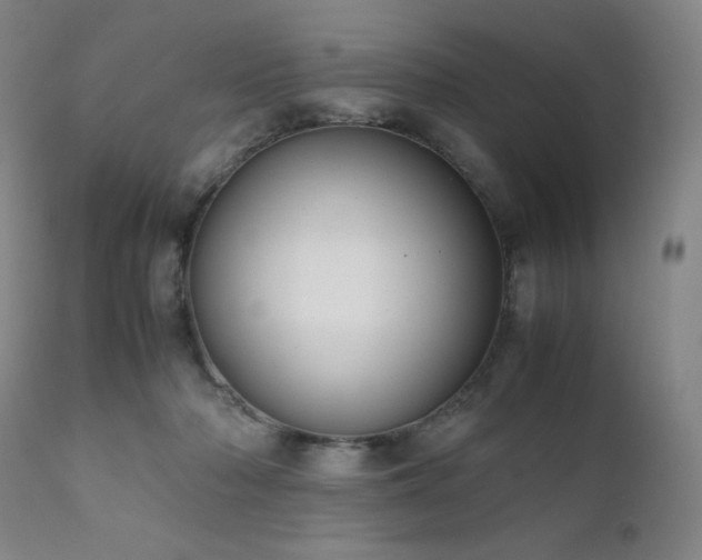 X0000111920318200907271255
