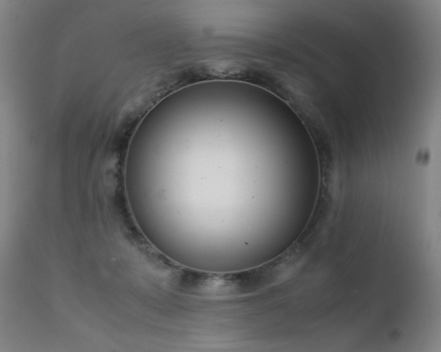 X0000111920319200907271255