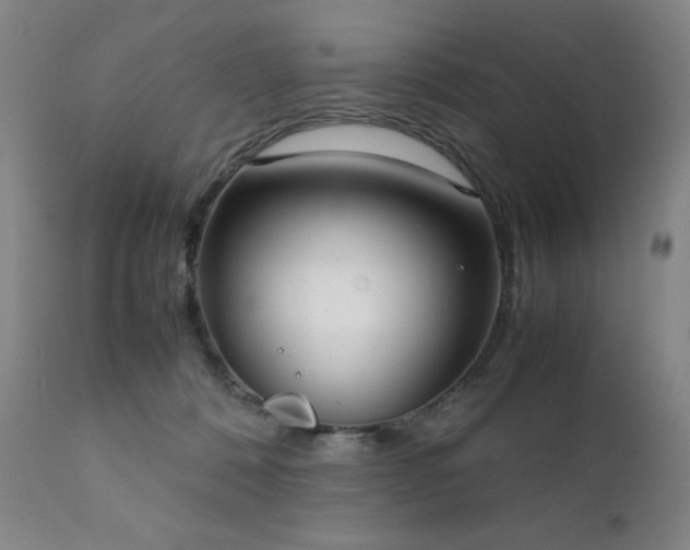 X0000111920320200907271255