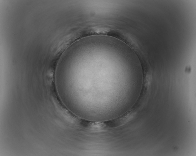 X0000111920321200907271255