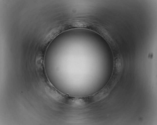 X0000111920322200907271255