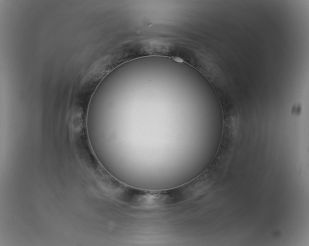 X0000111920323200907271255