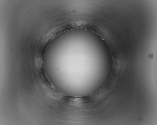 X0000111920324200907271255