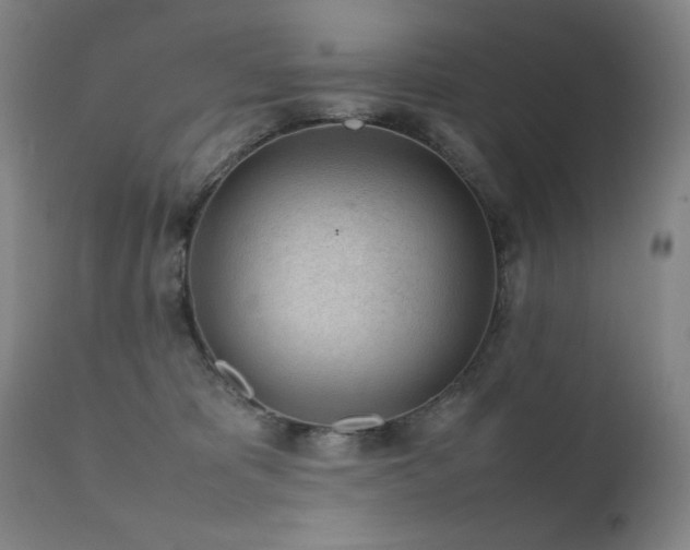 X0000111920325200907271255