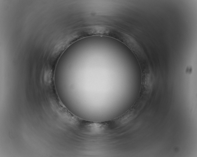 X0000111920326200907271255