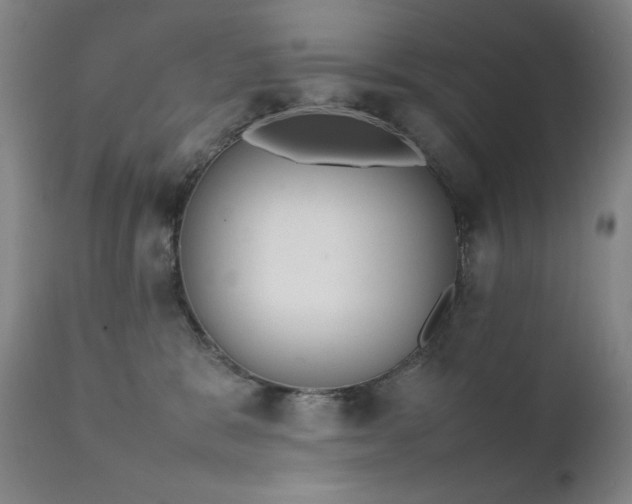 X0000111920327200907271255