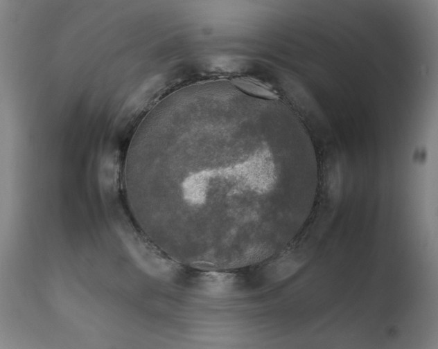 X0000111920328200907271255