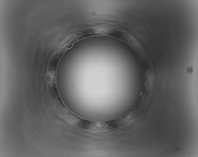 X0000111920329200907271255
