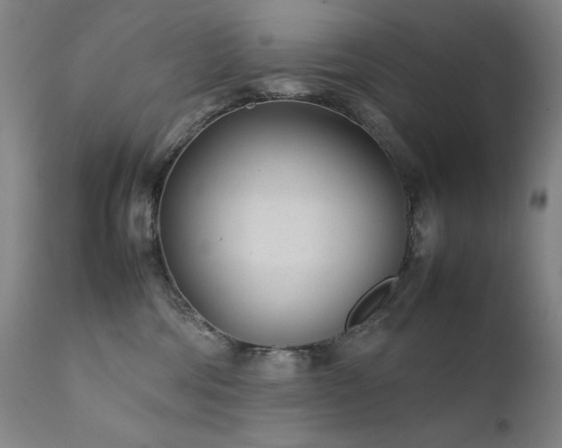 X0000111920330200907271255